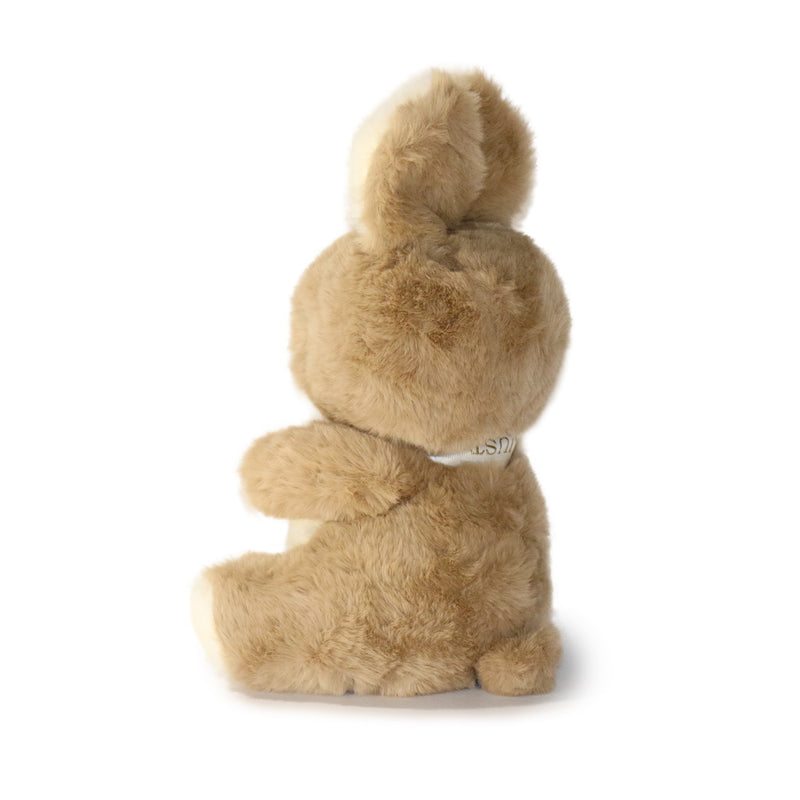Brown plush toy on a white background