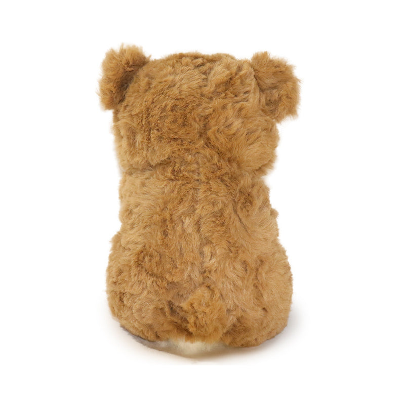 Brown teddy bear on a white background