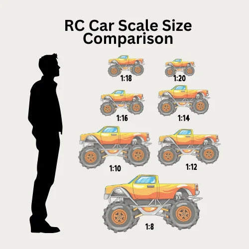 RC Car Scale Size Comparison: Compare 1/5, 1/14, 1/12, 1/24 Scale Cars Before You Buy