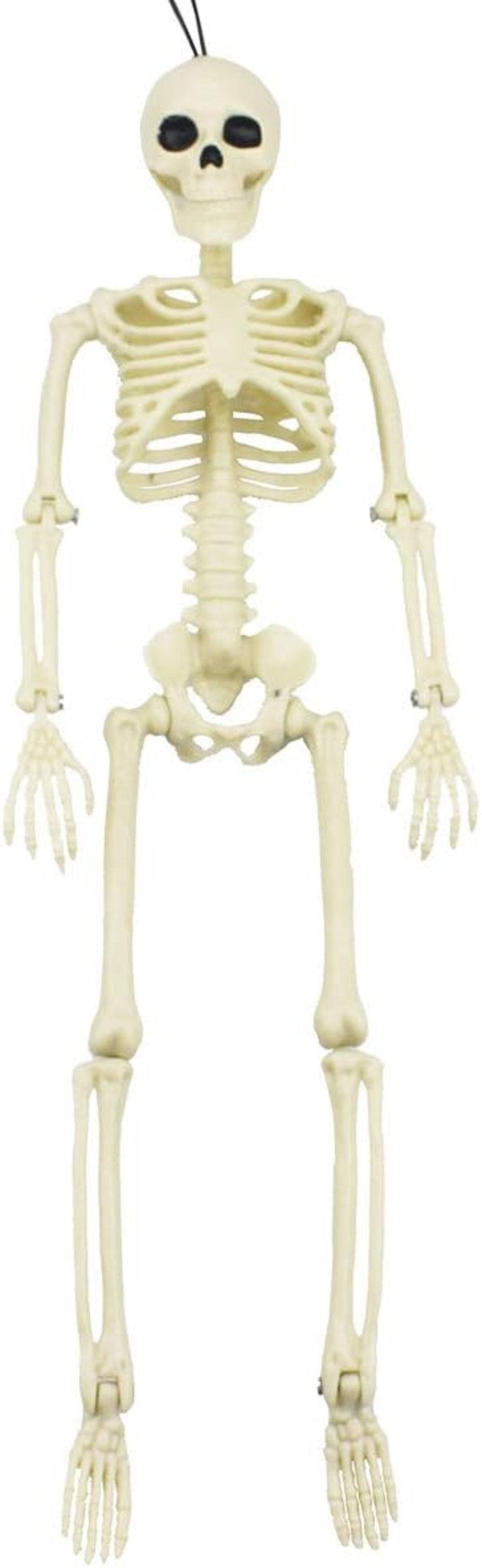 Halloween skeleton with joints adjusted for spooky setup