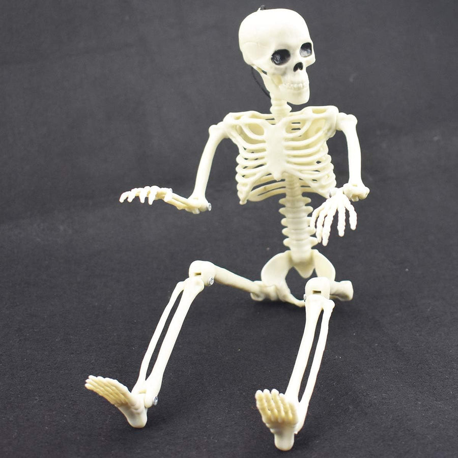 Skeleton sitting with movable joints for Halloween deco