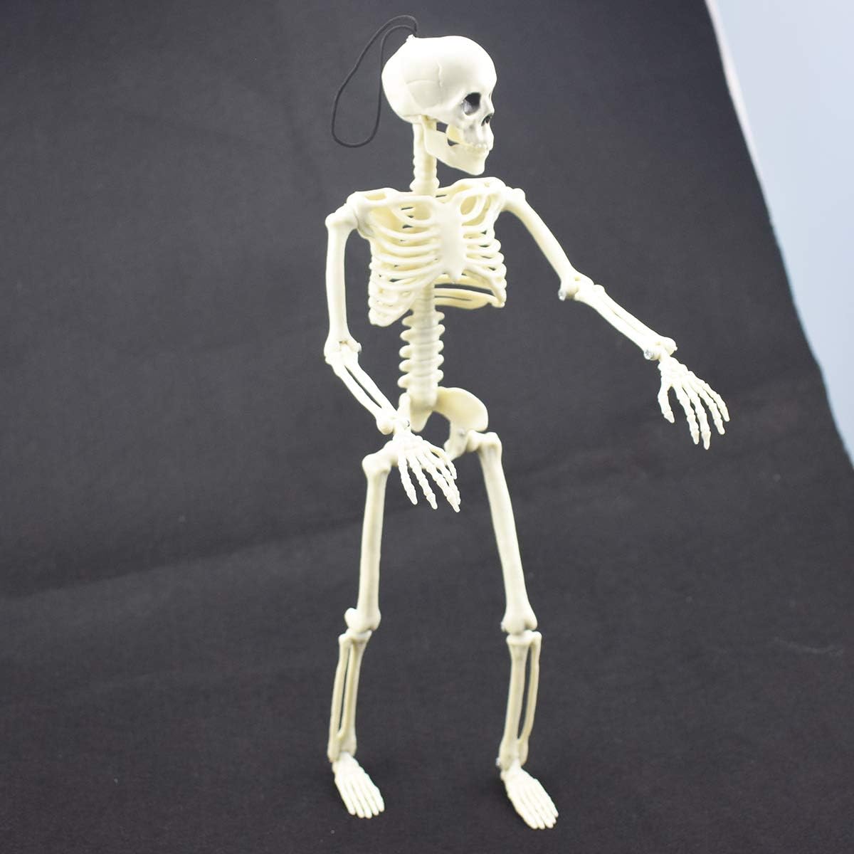 Poseable Halloween skeleton with realistic design