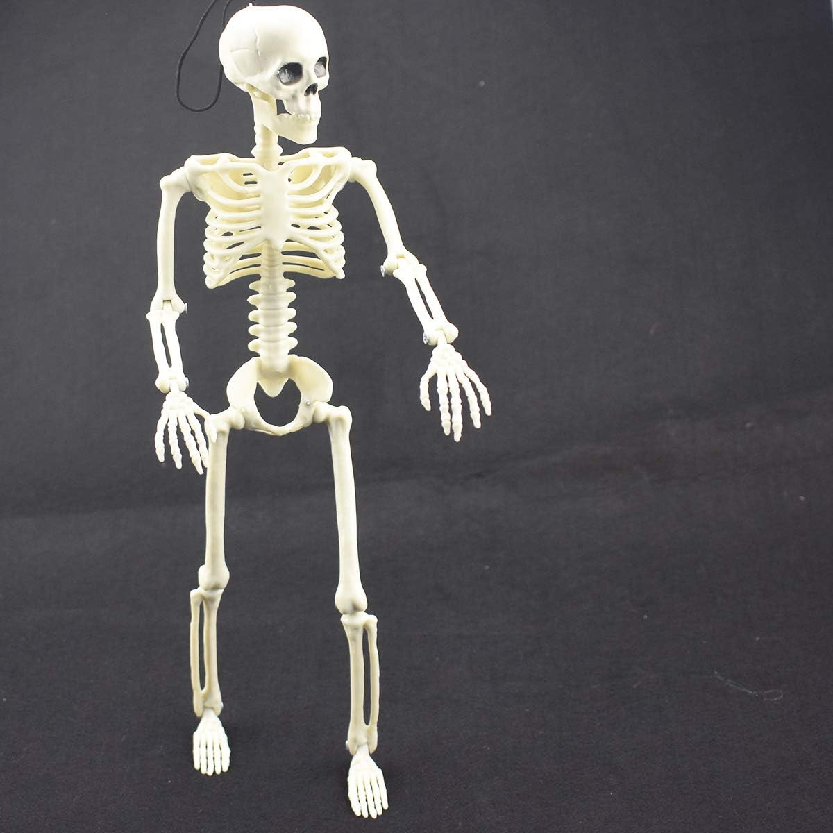 16-inch Halloween skeleton decor for haunted house props