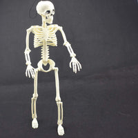 16-inch Halloween skeleton decor for haunted house props