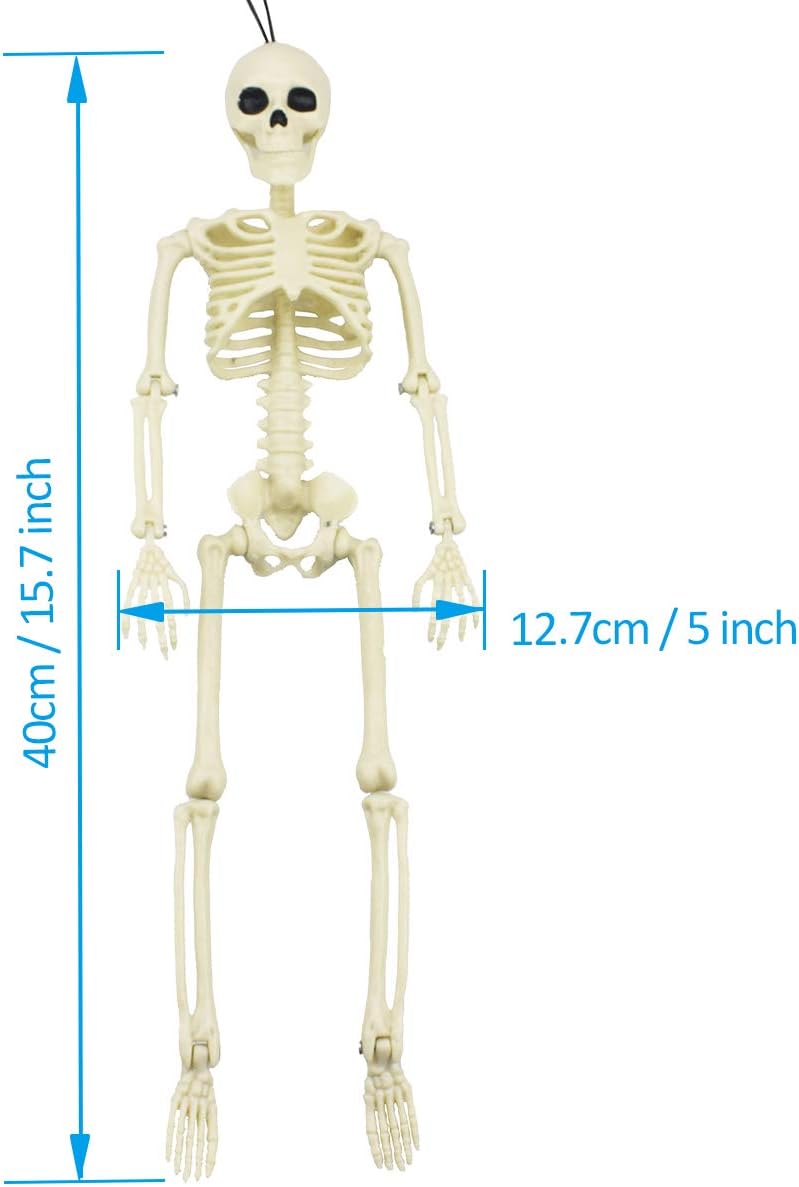 Poseable Halloween skeleton with realistic design measurement