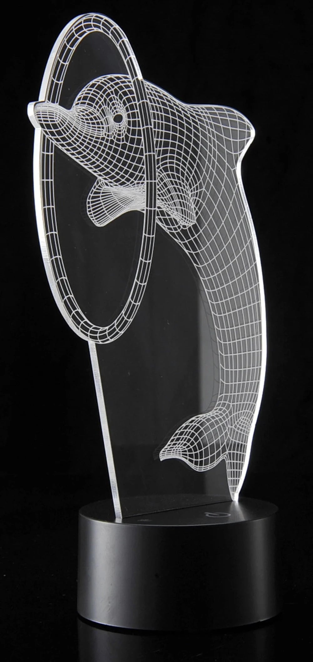 3D illusion night light with dolphin and hoop design in clear acrylic display.