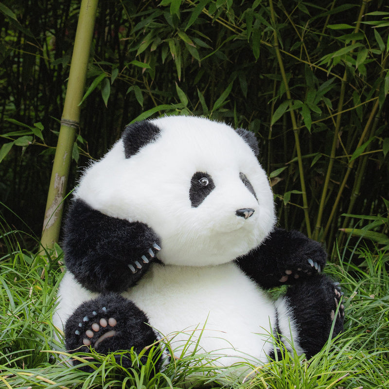 Panda Hehua 4.6lb Plush– Calm Companion Mindful Relax
