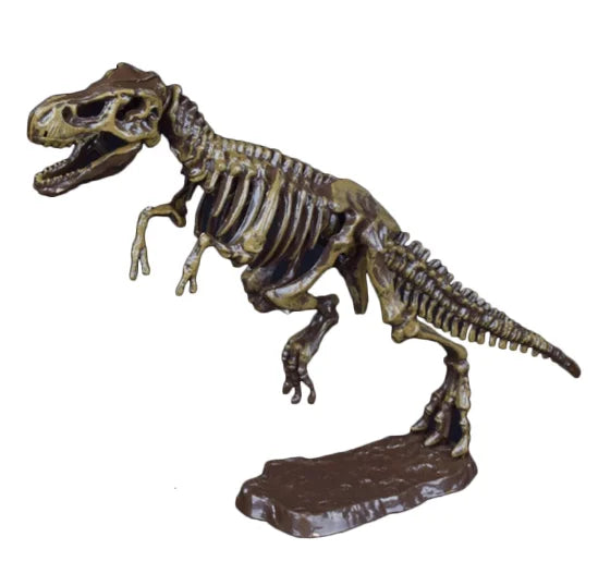 Dino Skeleton Toy - T-Rex Fossil Excavation Kit for Kids | Dinosaur Dig Science Kit