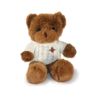 Brown teddy bear wearing a white sweater with a red heart on a white background