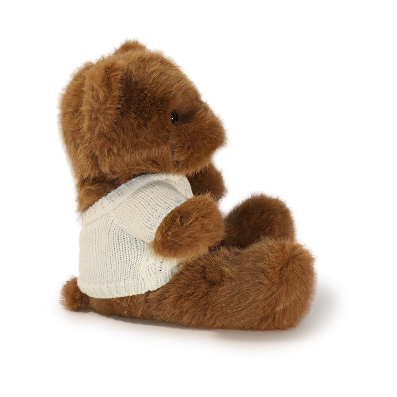 Brown teddy bear wearing a white shirt on a white background