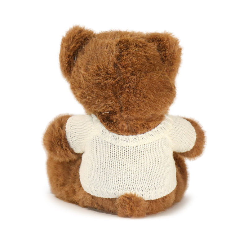 Brown teddy bear wearing a white sweater on a white background