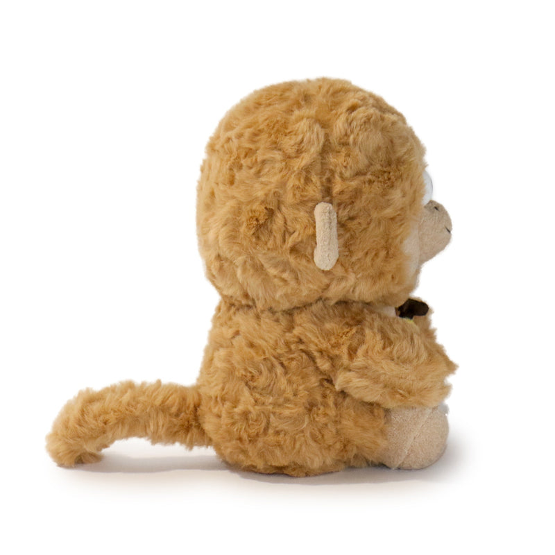 Brown teddy bear on a white background