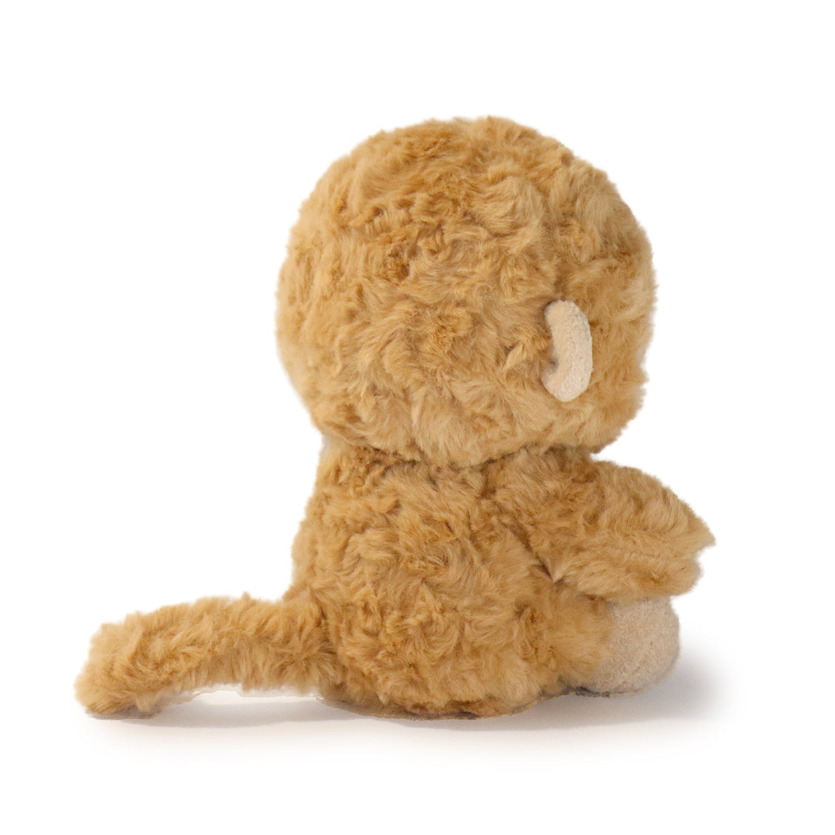 Brown teddy bear on a white background
