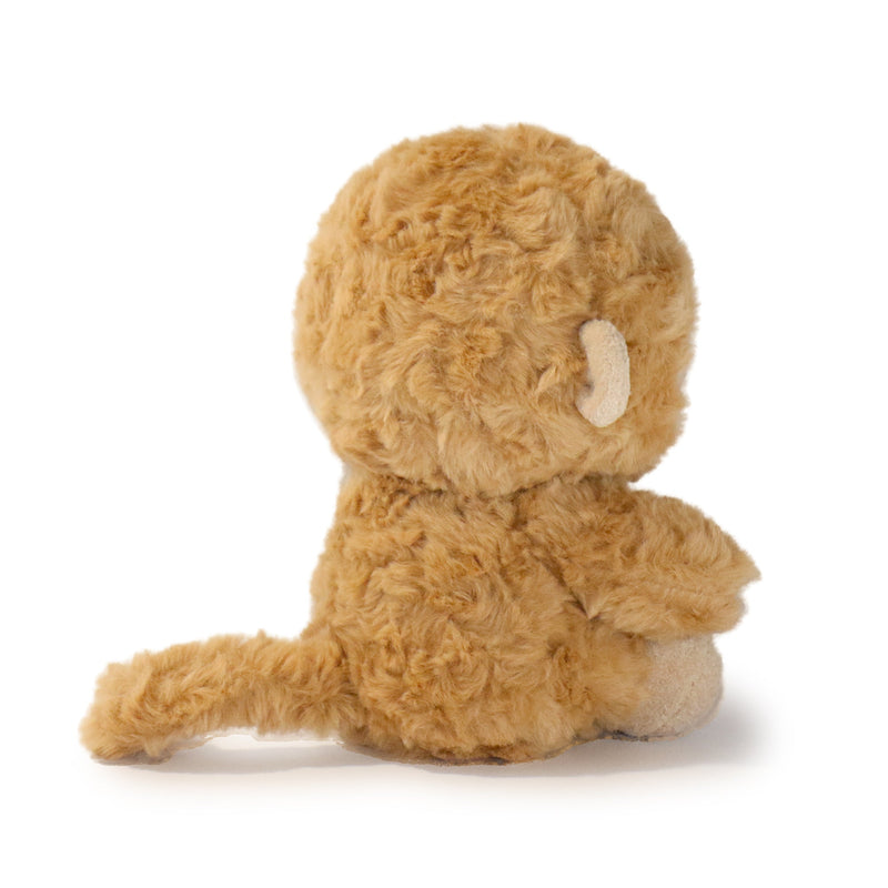 Brown teddy bear on a white background
