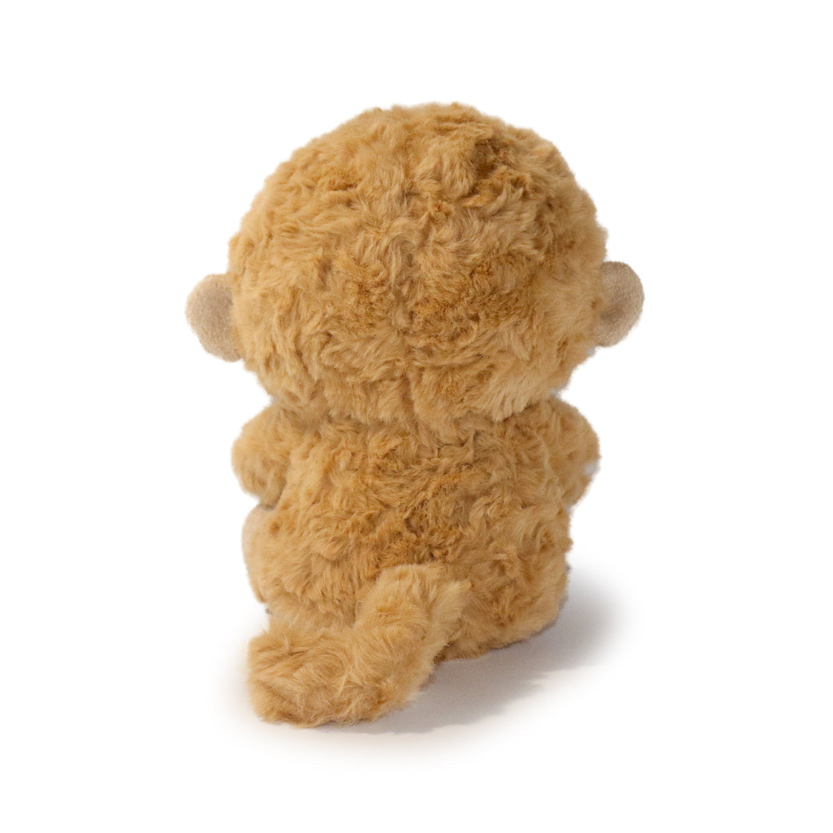 Brown teddy bear on a white background