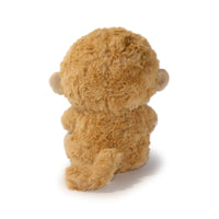 Brown teddy bear on a white background