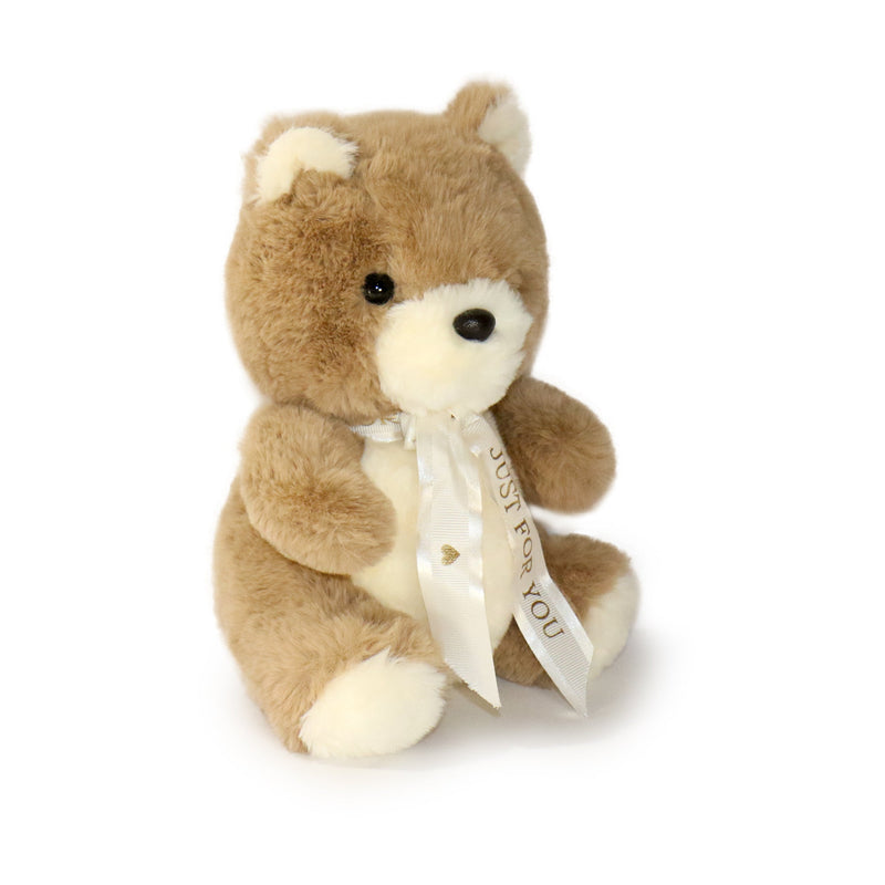 Stuffed teddy bear with a white ribbon and message on a white background