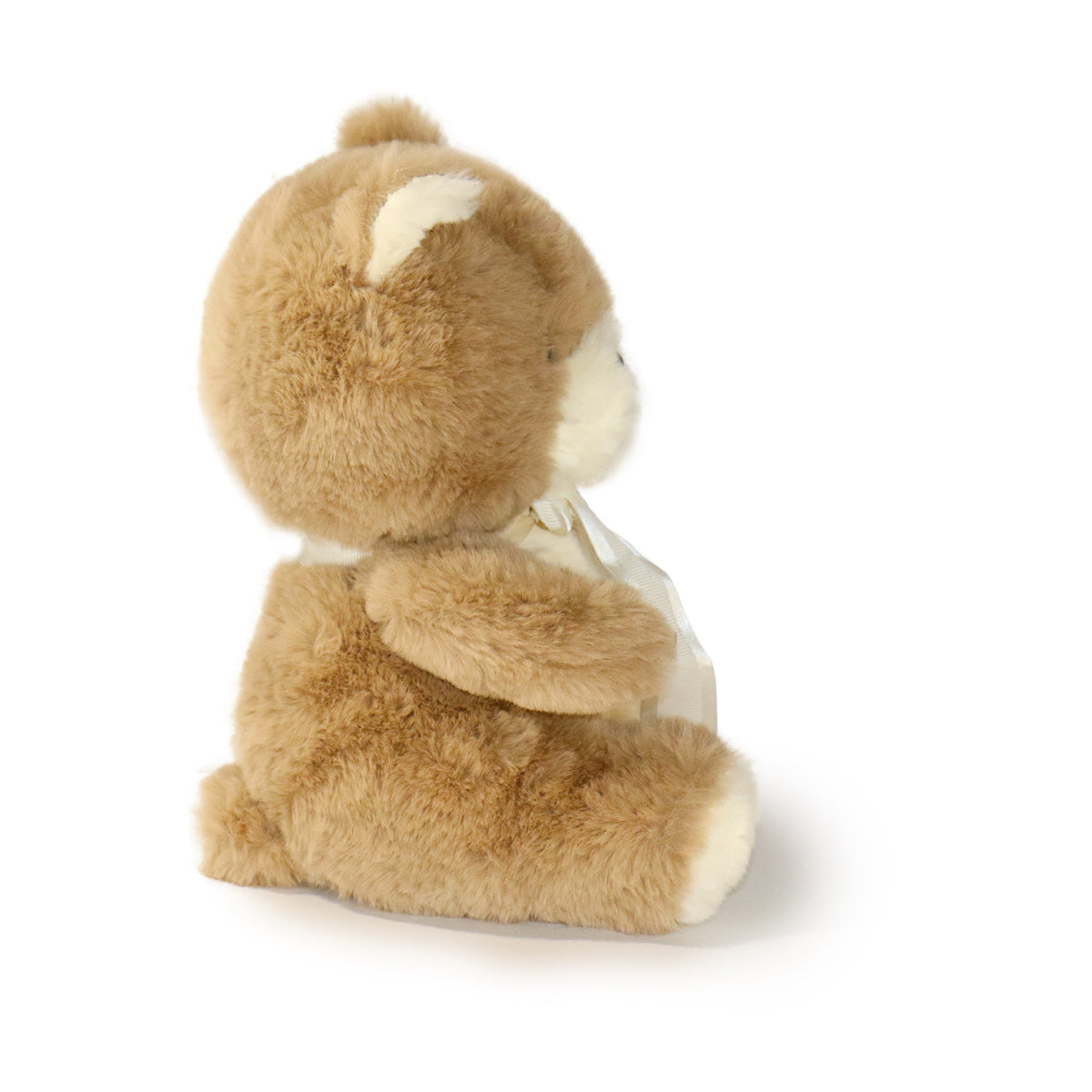 Plush bear toy with a white ribbon on a white background