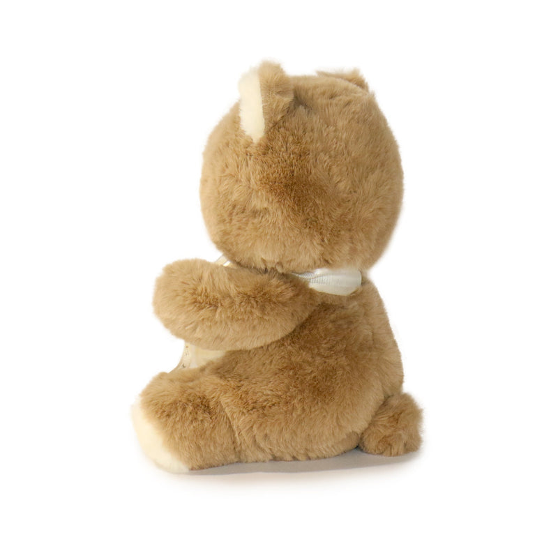 Brown teddy bear with a white ribbon on a white background