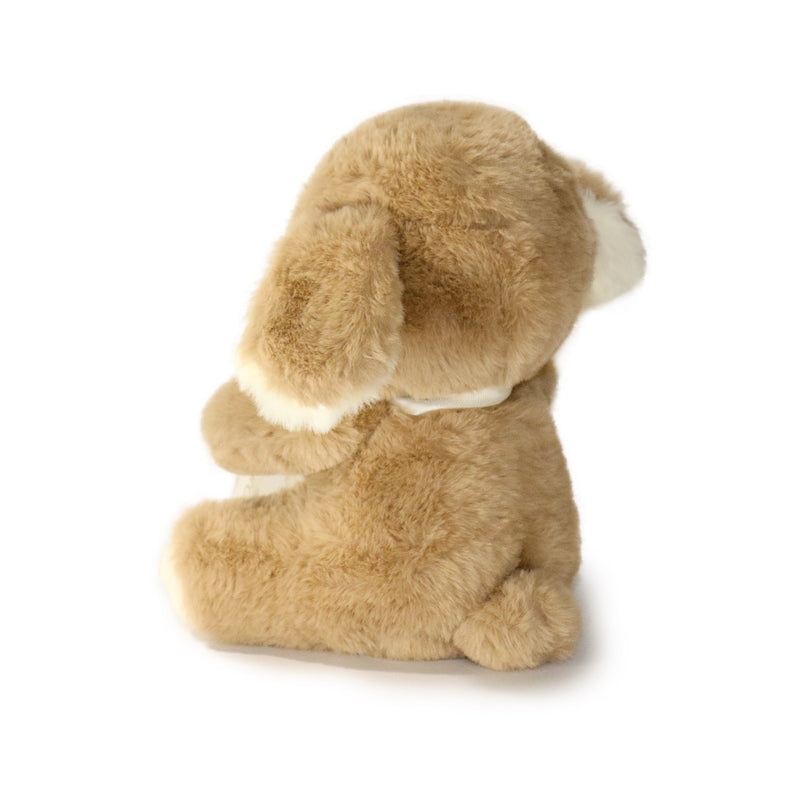 Plush toy dog with a white background