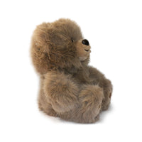 Plush bear toy on a white background