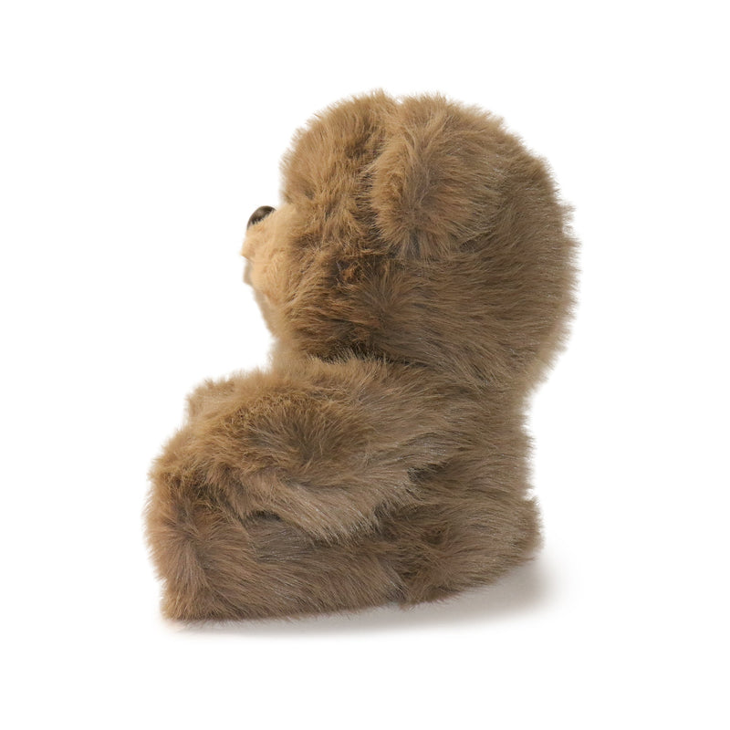 Brown teddy bear on a white background