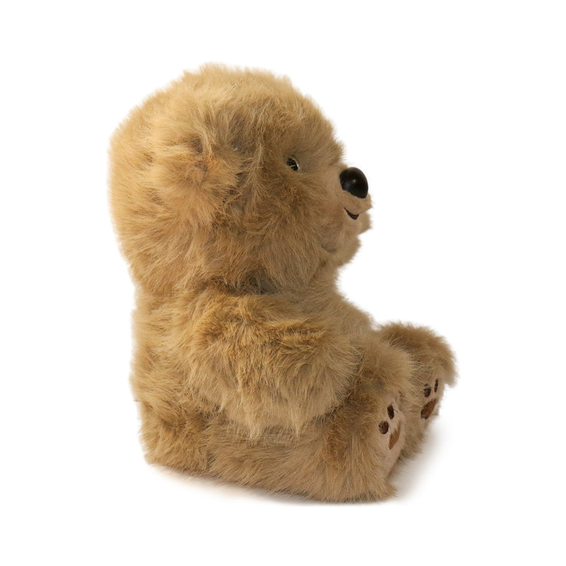 Brown teddy bear sitting on a white background