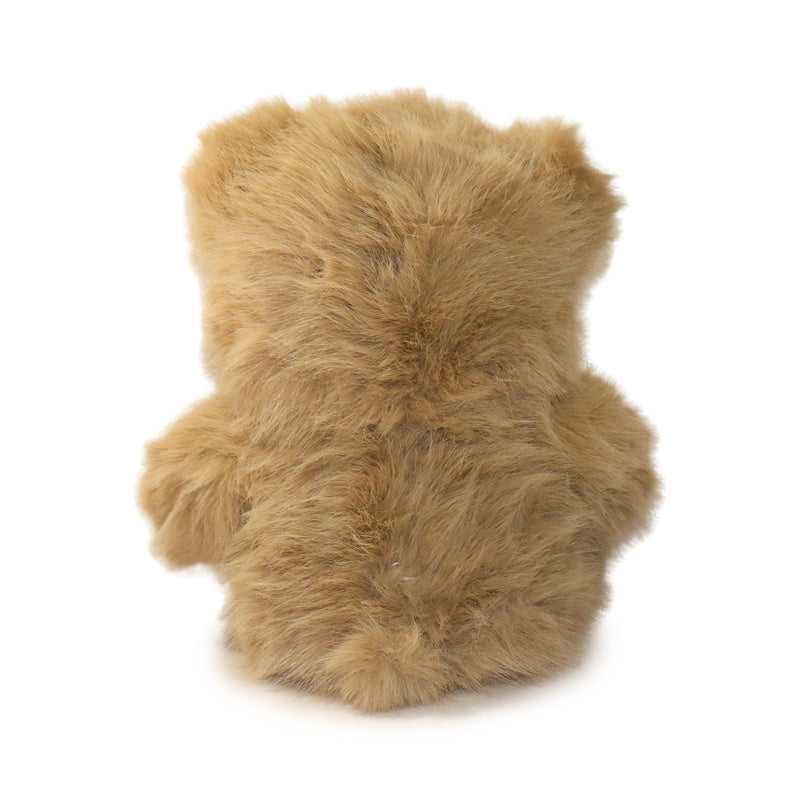 Brown teddy bear on a white background