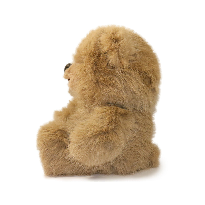 Brown teddy bear on a white background