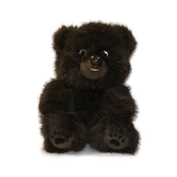 Plush bear toy on a white background
