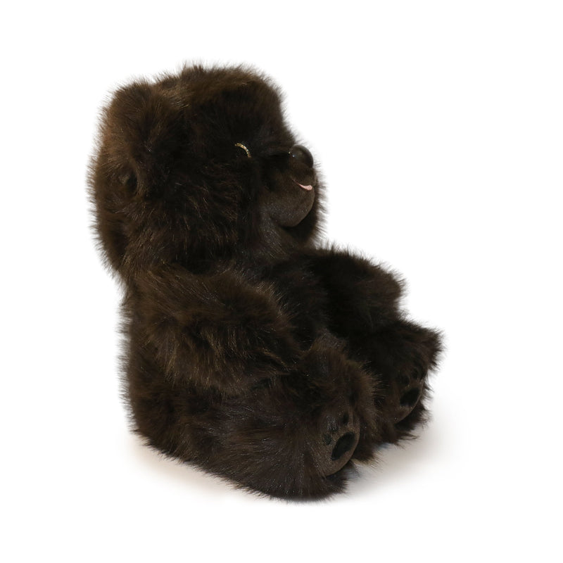 Brown plush bear toy on a white background