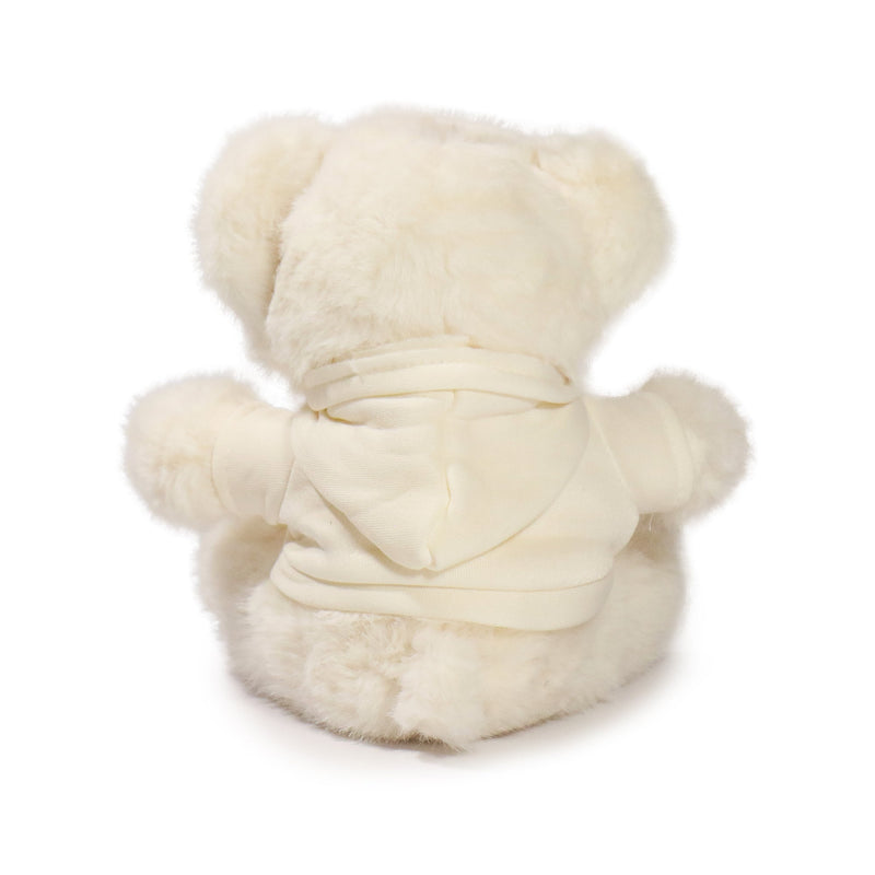 White teddy bear plush toy on a white background