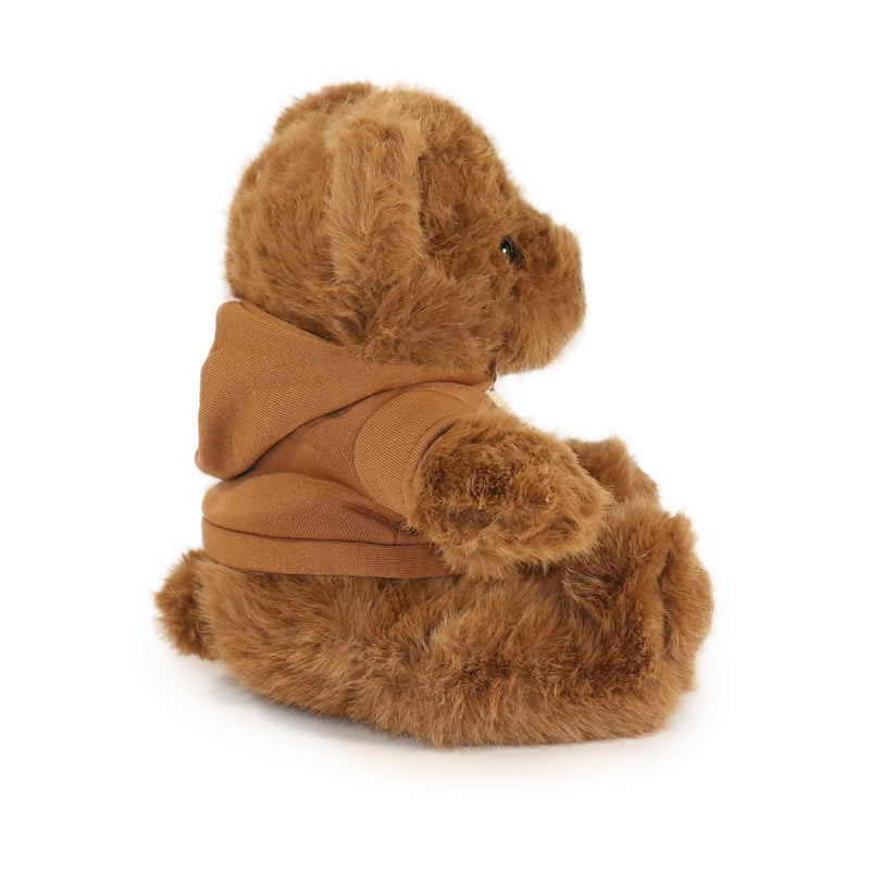 Brown teddy bear wearing a brown jacket on a white background