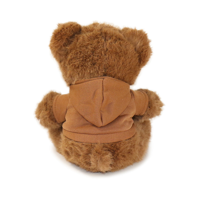 Brown teddy bear with a hood on a white background