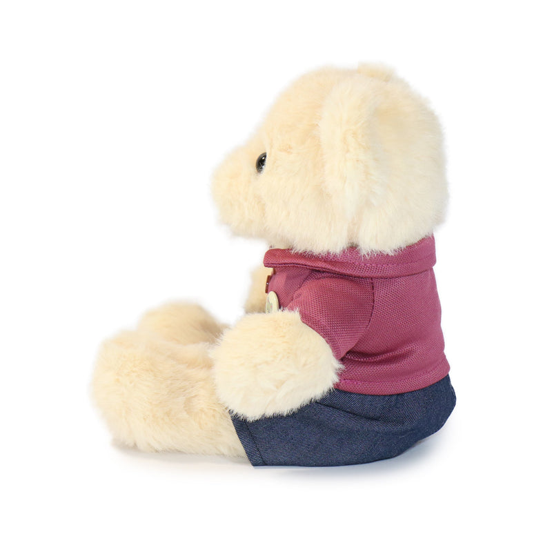 Plush toy dog wearing a pink shirt and blue pants on a white background