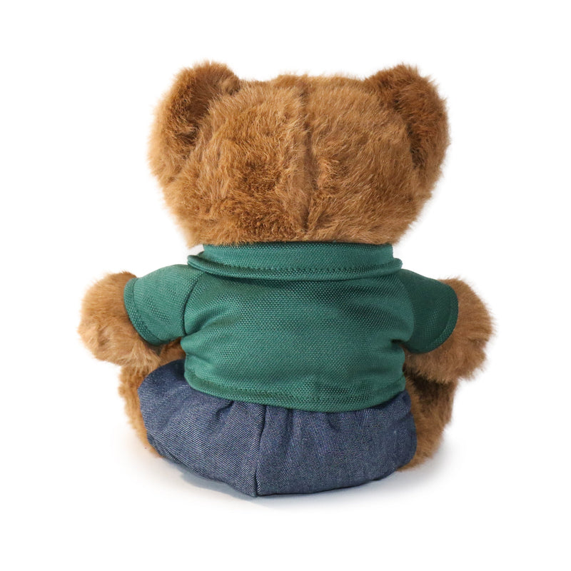 Brown teddy bear wearing a green shirt and blue pants on a white background