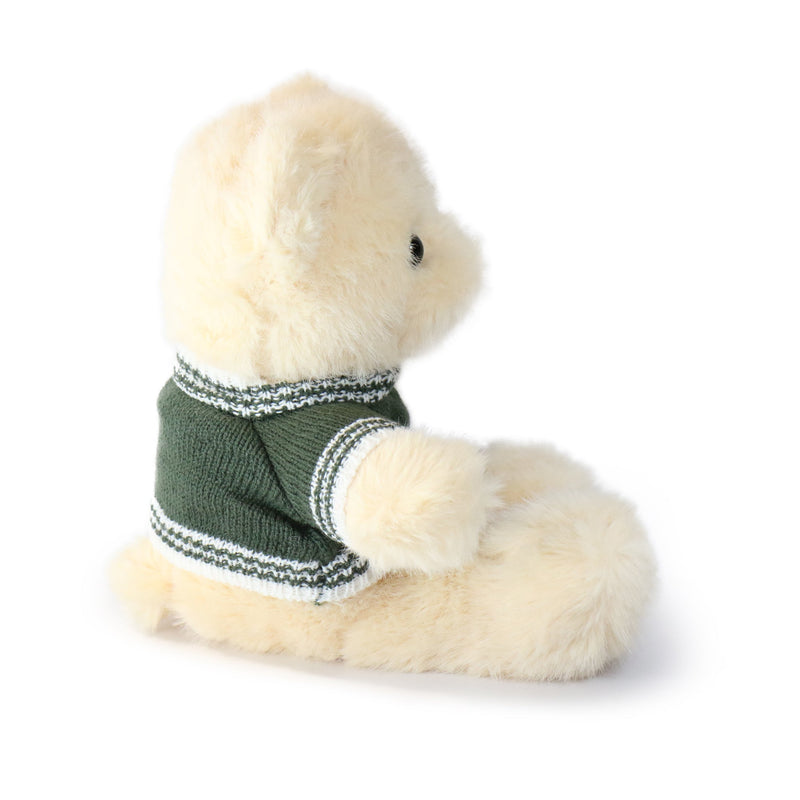 White teddy bear wearing a green sweater on a white background