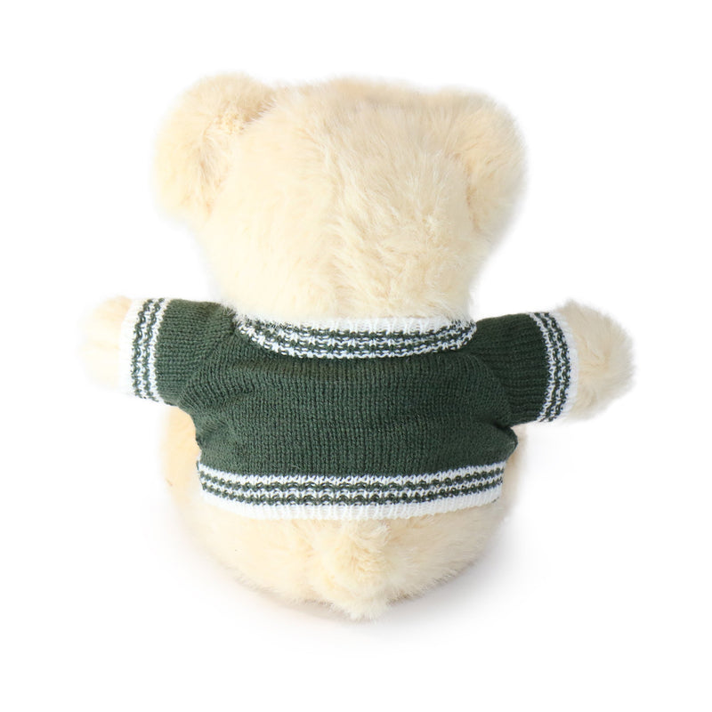White teddy bear wearing a green sweater on a white background