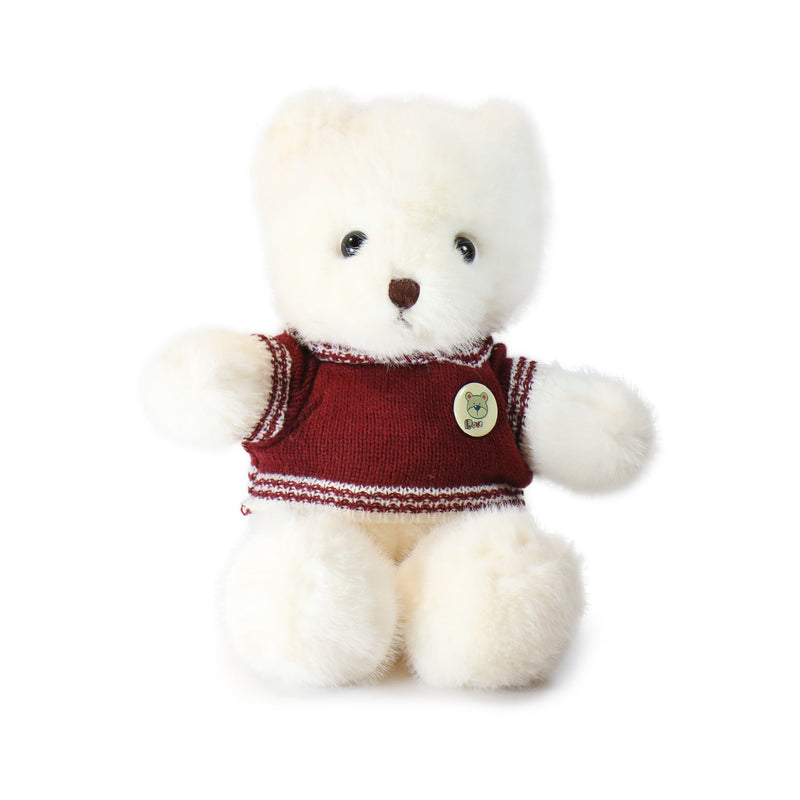 White teddy bear wearing a red sweater on a white background