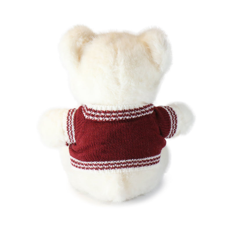 White teddy bear wearing a red sweater with white trim on a white background
