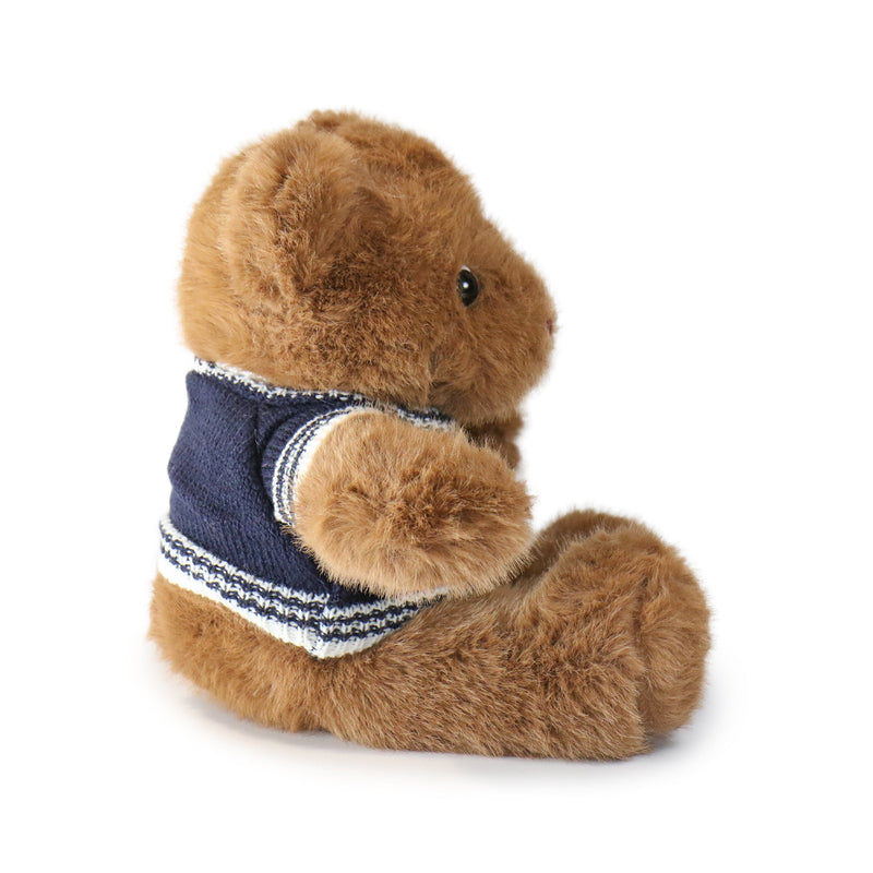 Plush bear wearing a blue sweater on a white background