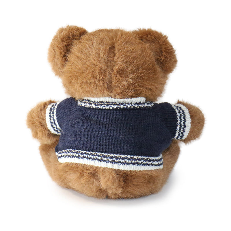 Brown teddy bear wearing a blue sweater with white stripes on a white background