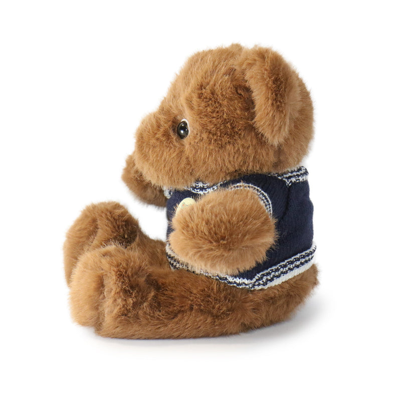 Brown teddy bear wearing a navy sweater on a white background