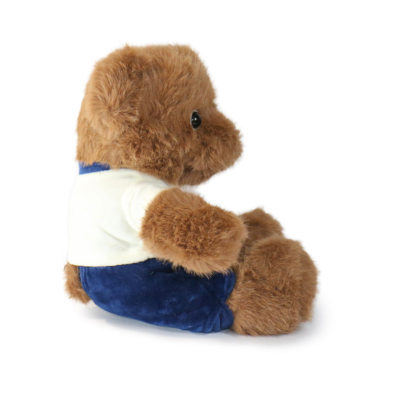 12 Inch Fashionable Huggable Bear Plush Doll