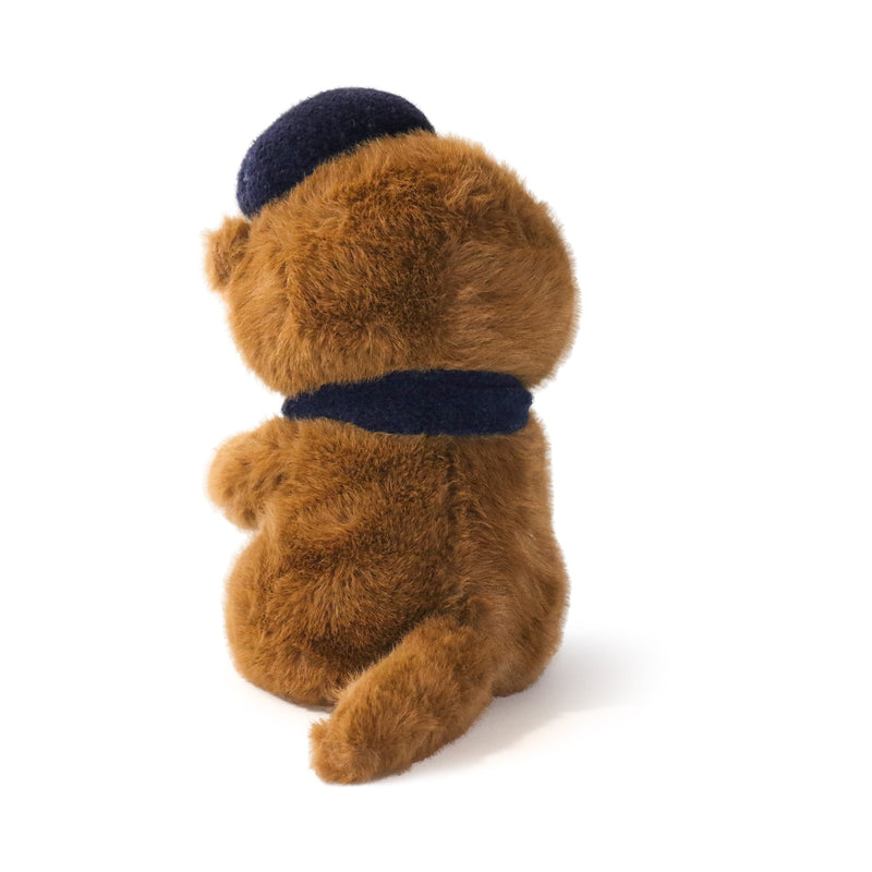 Brown teddy bear with a navy blue scarf and hat on a white background