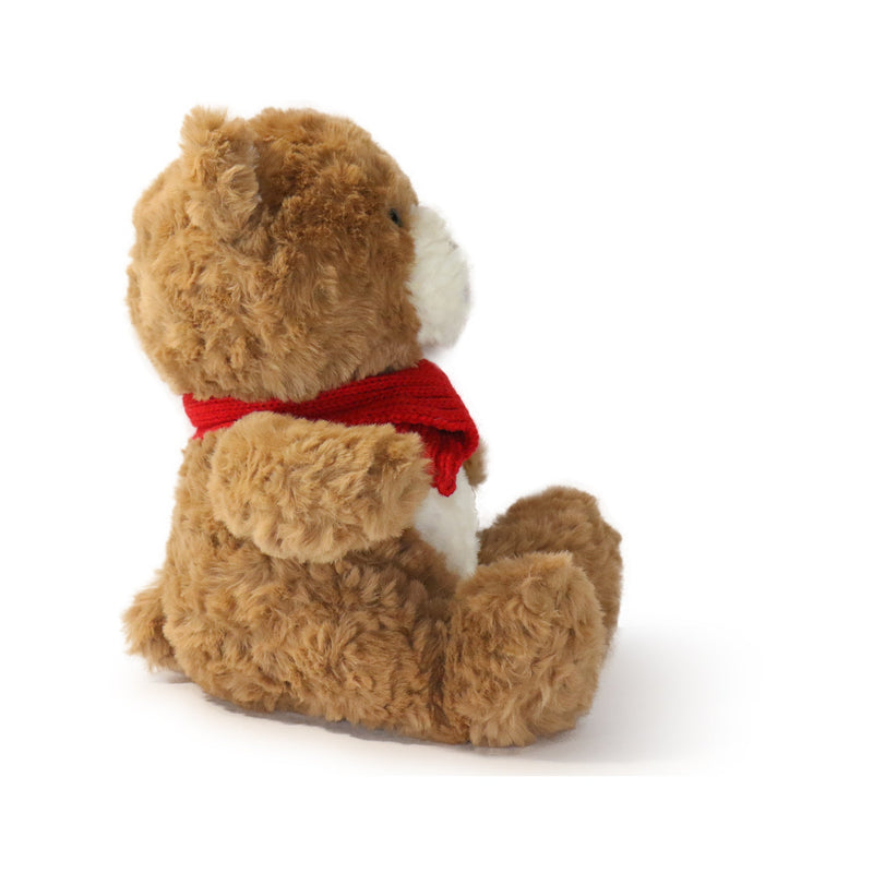 Brown teddy bear with a red scarf on a white background