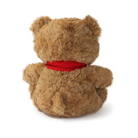 Brown teddy bear with a red scarf on a white background