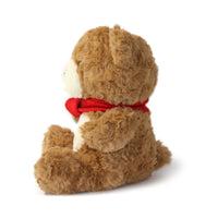 Brown teddy bear with a red scarf on a white background