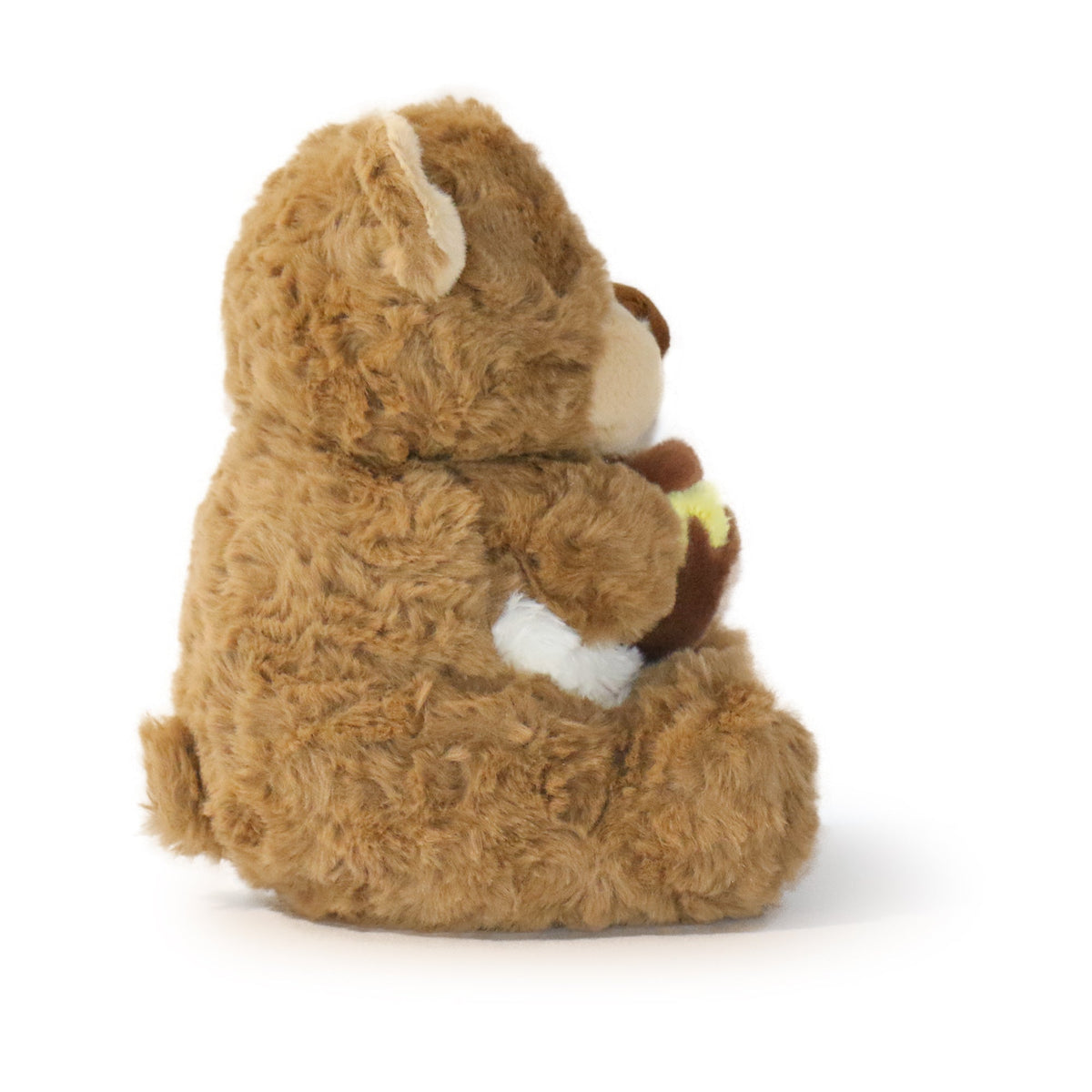 Brown teddy bear sitting on a white background