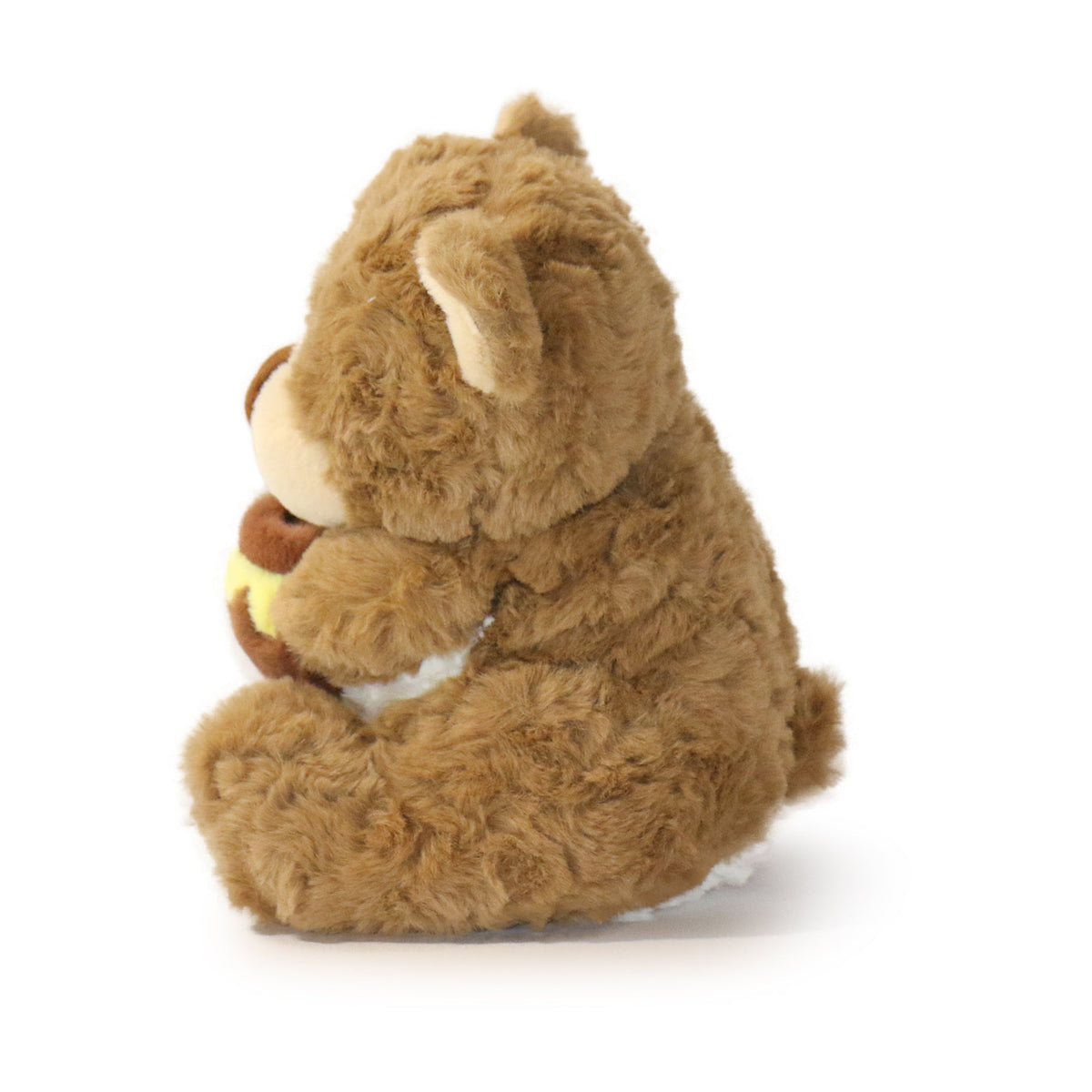 Brown teddy bear sitting on a white background